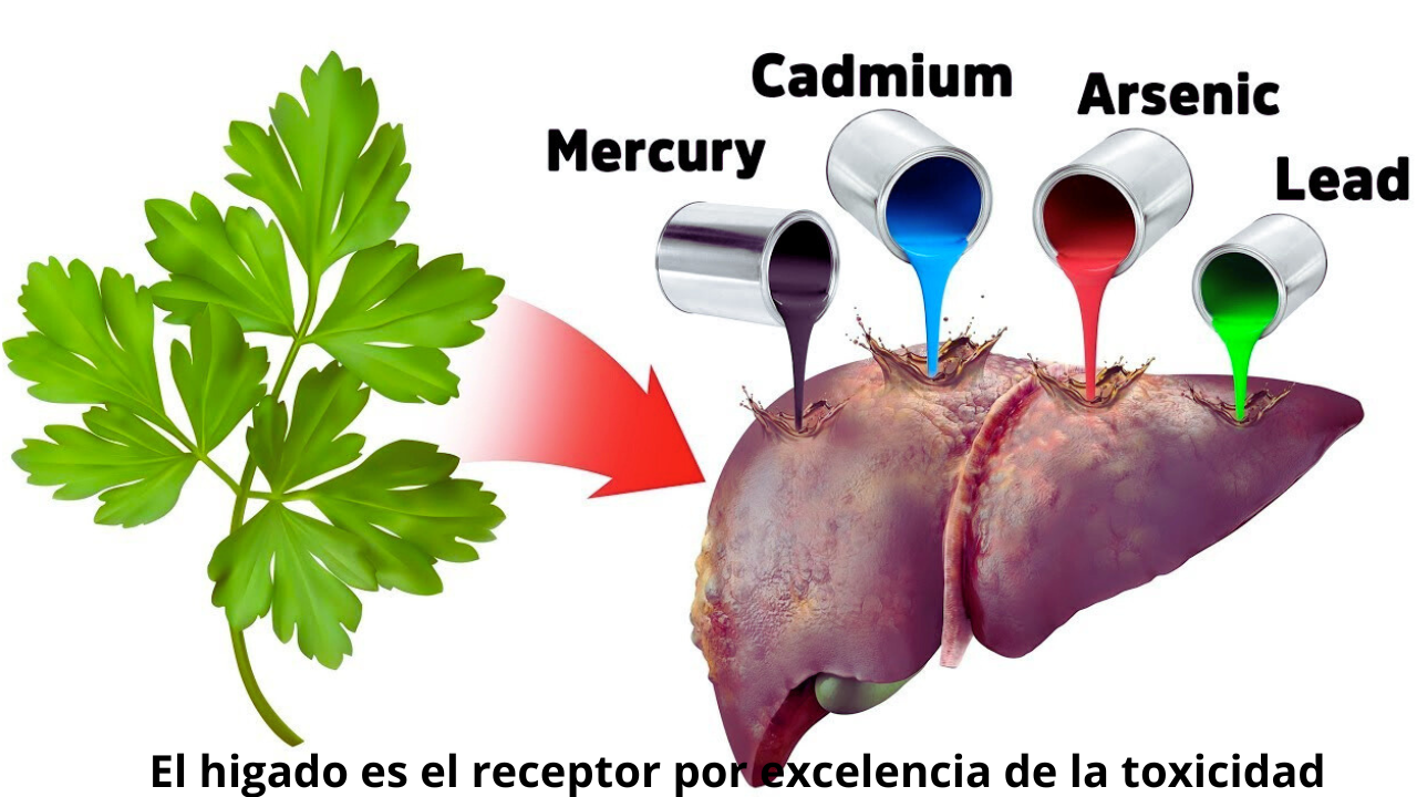 Intoxicación por metales pesados