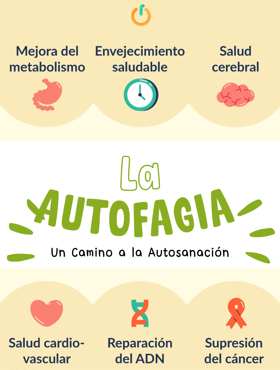 Descubre el Poder de la Autofagia